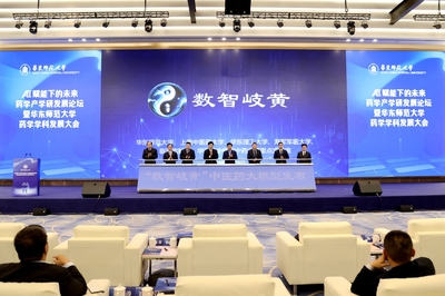 AI賦能未來(lái)藥學(xué)，數(shù)智岐黃中醫(yī)藥大模型引領(lǐng)醫(yī)藥科技新浪潮